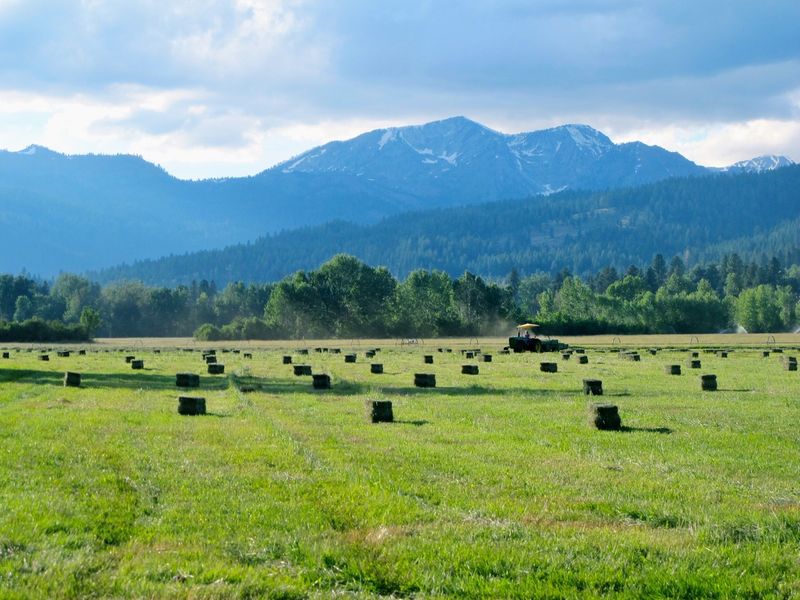 Why Halfway, Oregon Deserves a Spot on Your Travel List