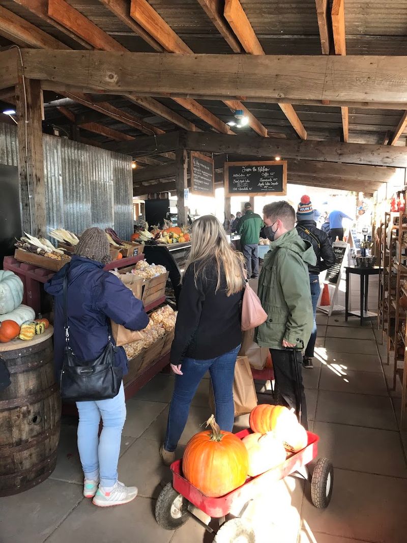 Why Hoffman Farms Keeps Bringing Families Back Every Season