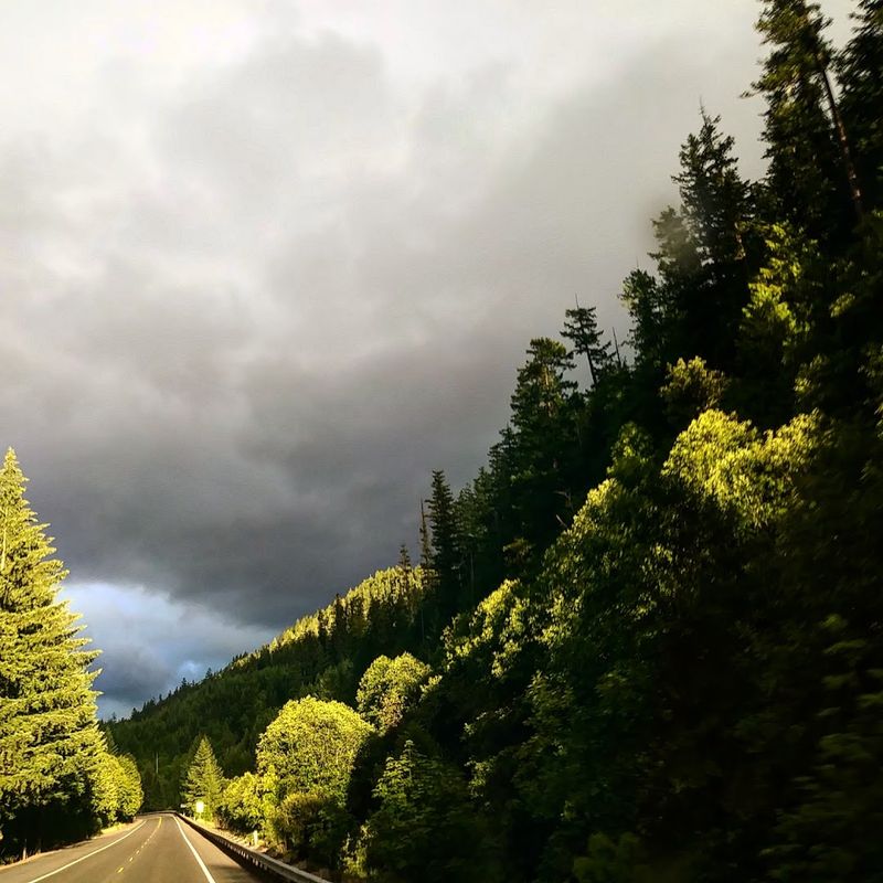 Why Ironside Mine Trail Is Worth the Drive