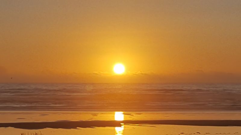 Why It Fits The Coast So Well