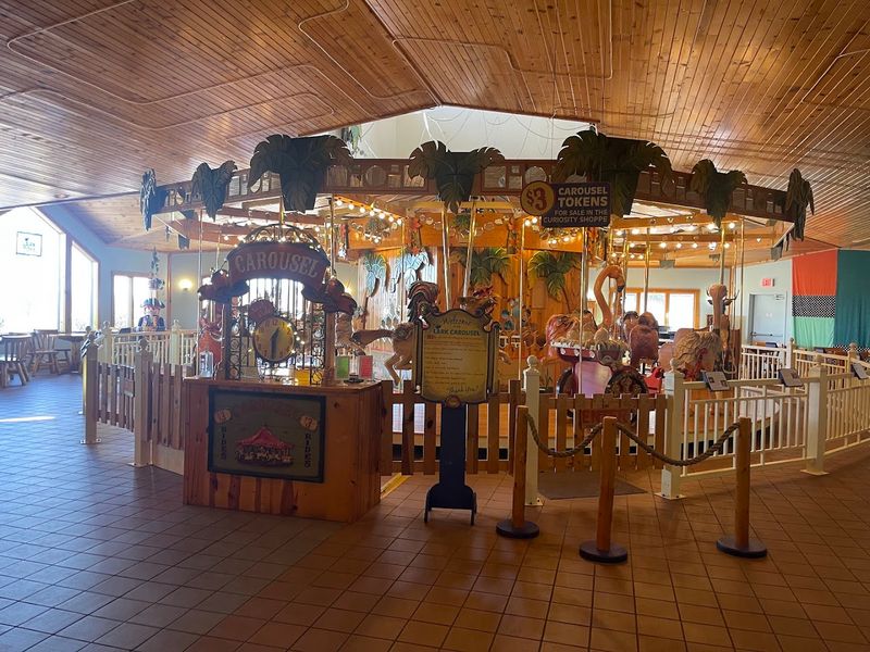 Why LARK Toys Is Worth the Drive From Anywhere in Minnesota