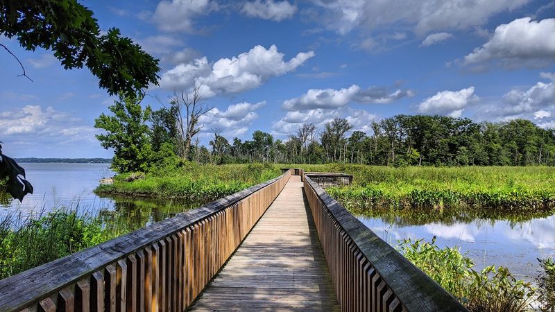Why Locals Call It the Maryland Narnia Trail