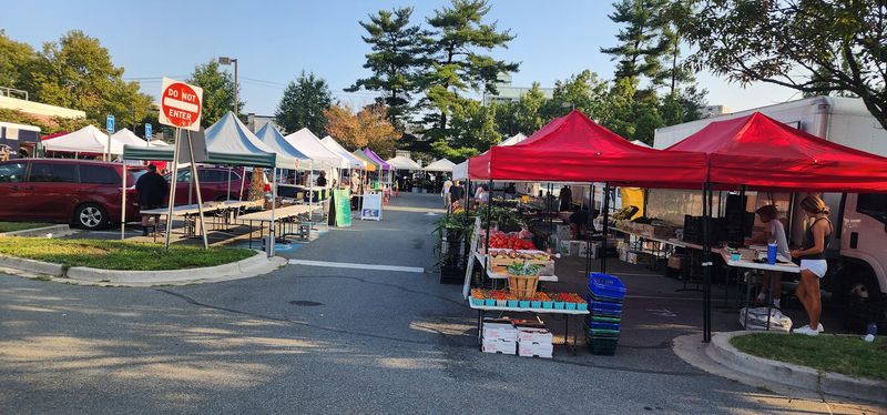 Why Locals Keep Returning Week After Week Without Hesitation Why Locals Keep Returning Week After Week Without Hesitation