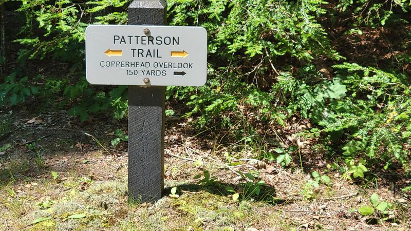 Why Patterson Trail Belongs on Every West Virginia Bucket List