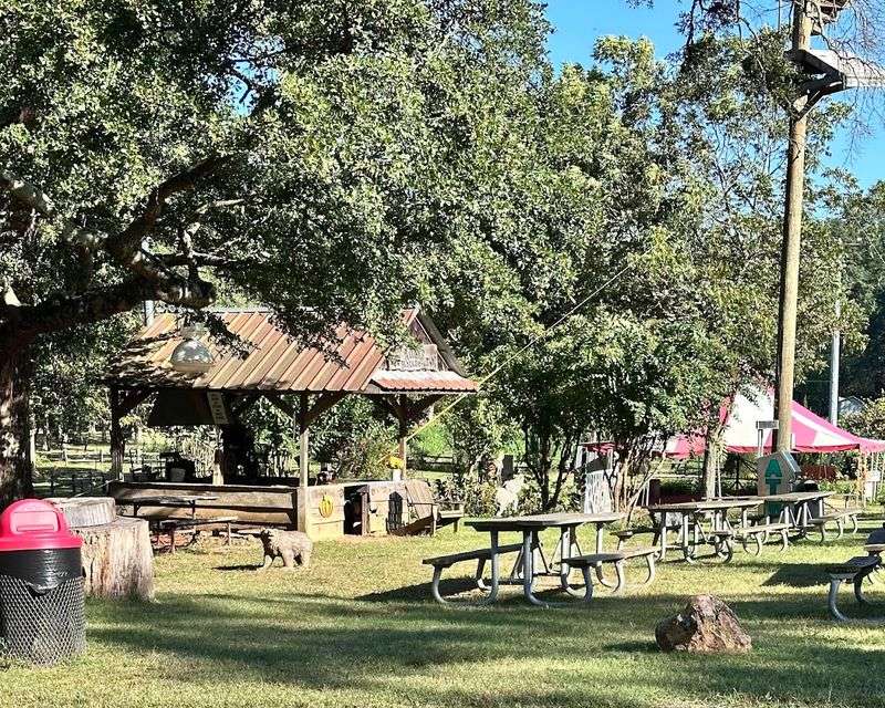 Why Pettit Creek Farms Belongs on Your Georgia Road Trip List