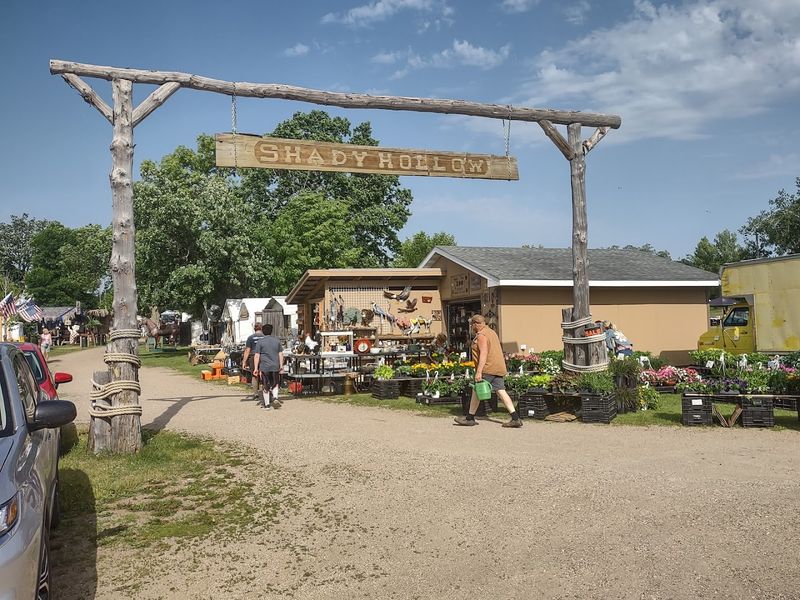 Why Shady Hollow Keeps Drawing People Back Season After Season