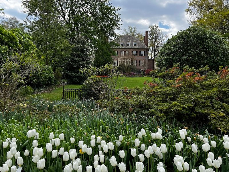 Why Sherwood Gardens Stays With You