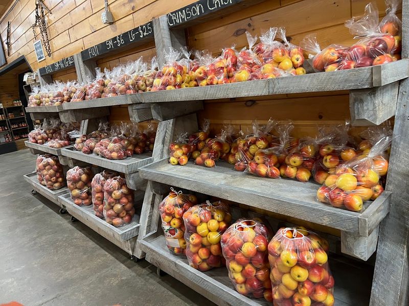 Why The Orchard Feels So Big