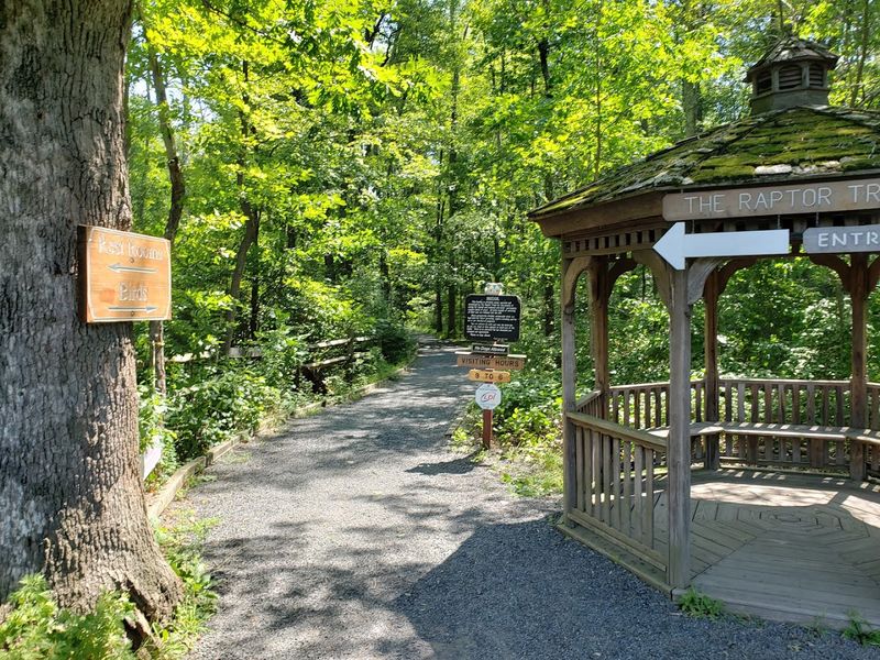 Why The Raptor Trust Belongs on Every New Jersey Must-Visit List