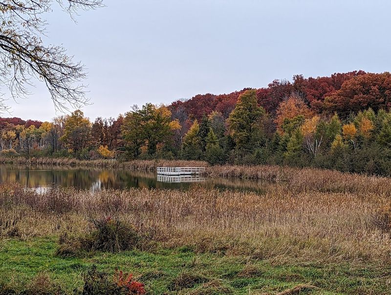 Why The Seasons Keep Rewriting The Story Why The Seasons Keep Rewriting The Story