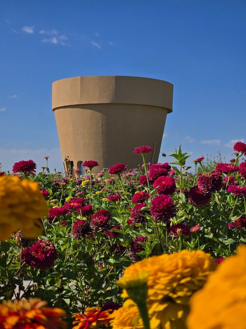 Why The Whole Place Feels So Delightfully Absurd