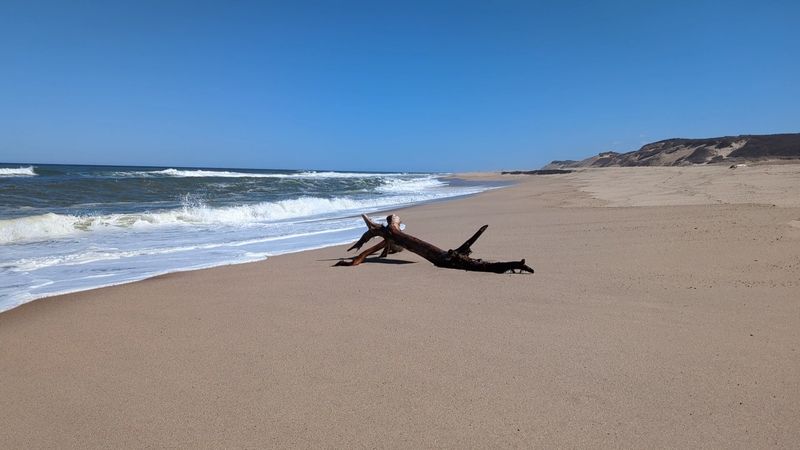 Why This Beach Stays With You Long After You Leave Why This Beach Stays With You Long After You Leave