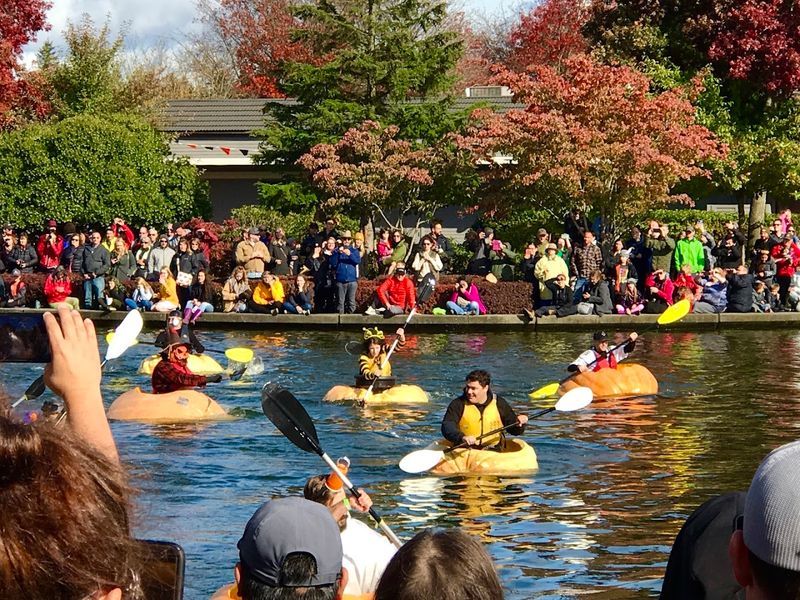 Why This Event Keeps Drawing People Back Year After Year