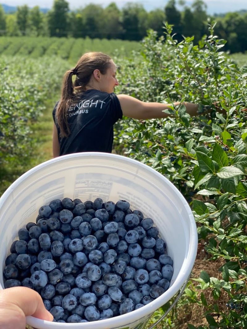 Why This Farm Feels Like More Than Just a Day Trip