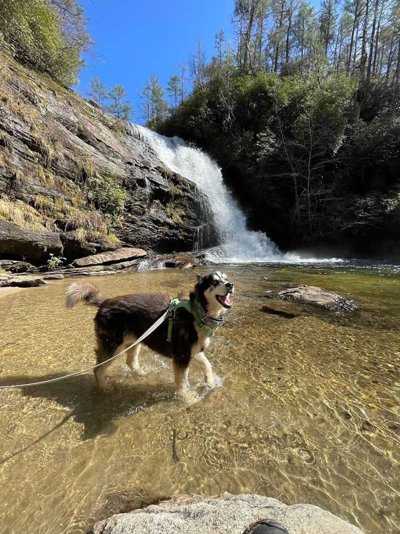 Why This Is The North Carolina Swim Spot I Keep Thinking About