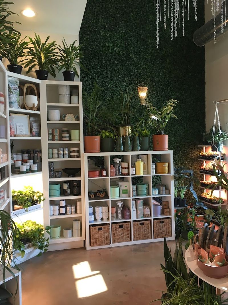 Why This Little Shop Leaves a Lasting Impression