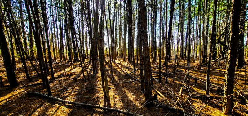 Why This Park Belongs on Your Next Maryland Road Trip