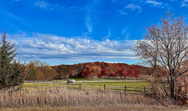 Why This Spot Is Worth the Drive