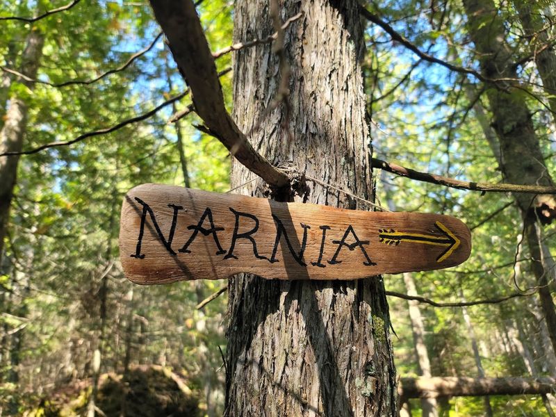 Why This Trail Belongs on Every Michigan Bucket List