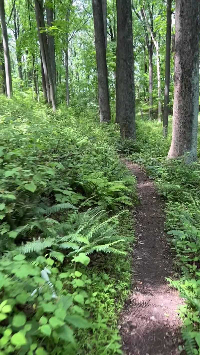 Why This Trail Deserves A Spot On Your Maryland Outdoor List Why This Trail Deserves A Spot On Your Maryland Outdoor List
