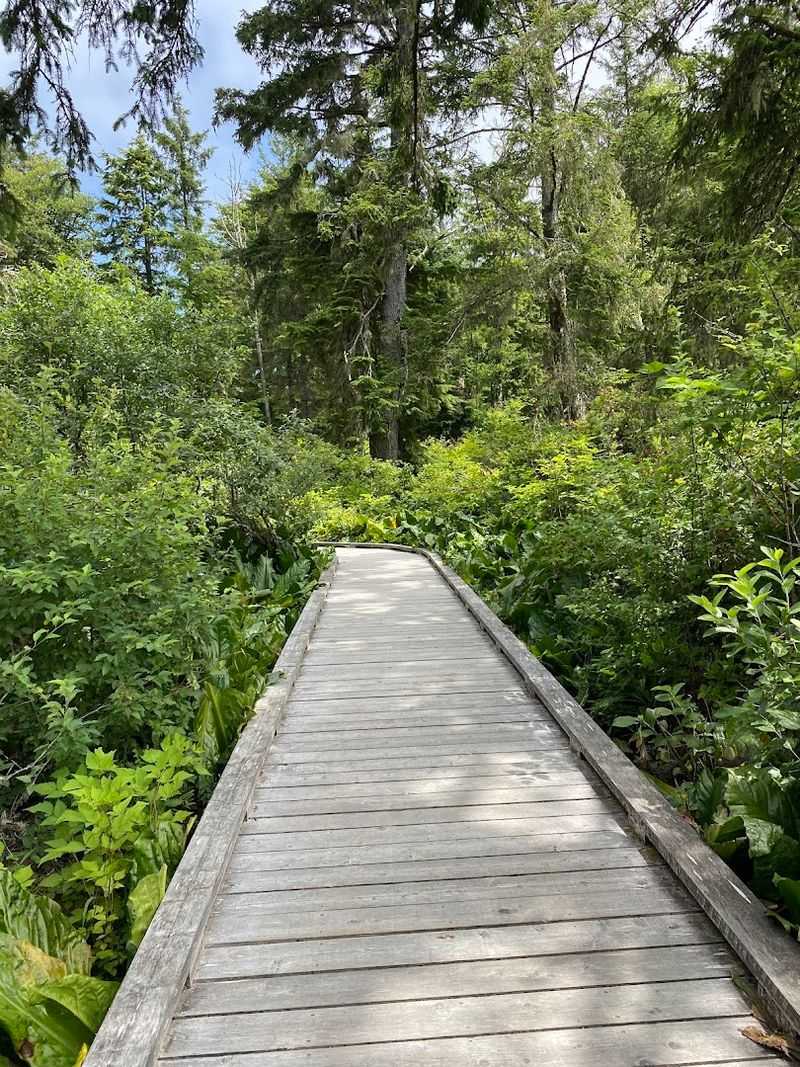 Why This Trail Deserves a Spot on Your Oregon Coast Itinerary