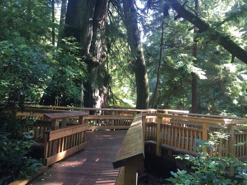 Why This Trail Feels Nothing Like the Oregon Coast Nearby