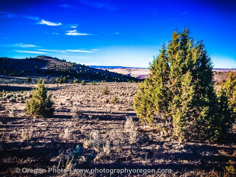 Why Warm Springs Reservoir Deserves A Spot On Your Oregon Road Trip