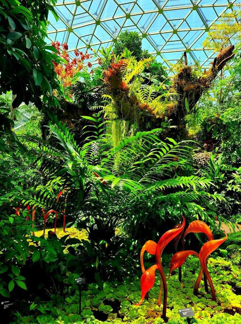 Why the Climatron Deserves a Spot on Every St. Louis Itinerary