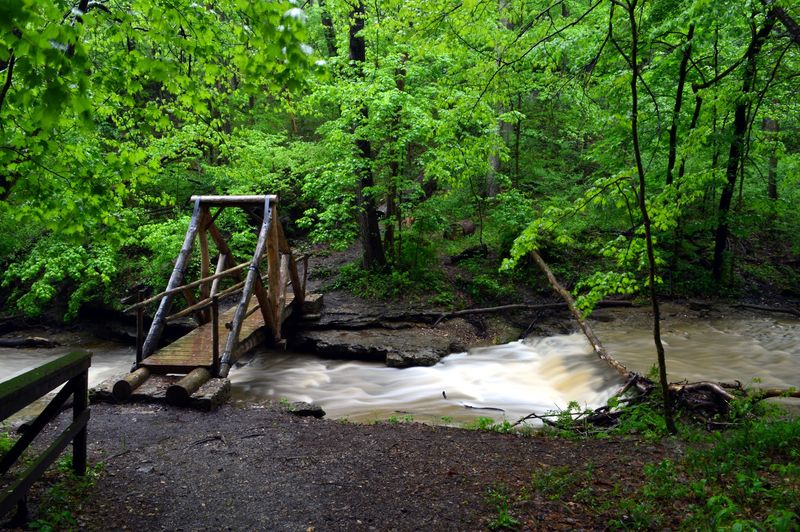 Why the Hidden Quality of Hoffman Falls Is Actually Its Greatest Appeal
