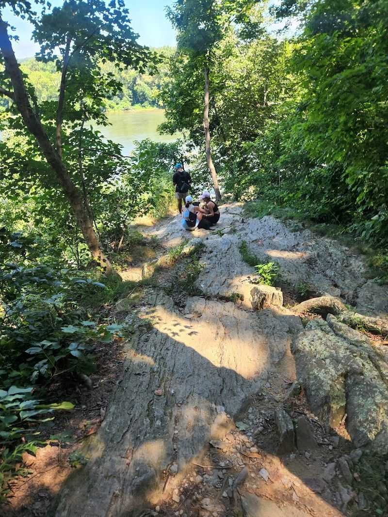 Why the Terrain Variety Keeps Every Step Feeling Fresh