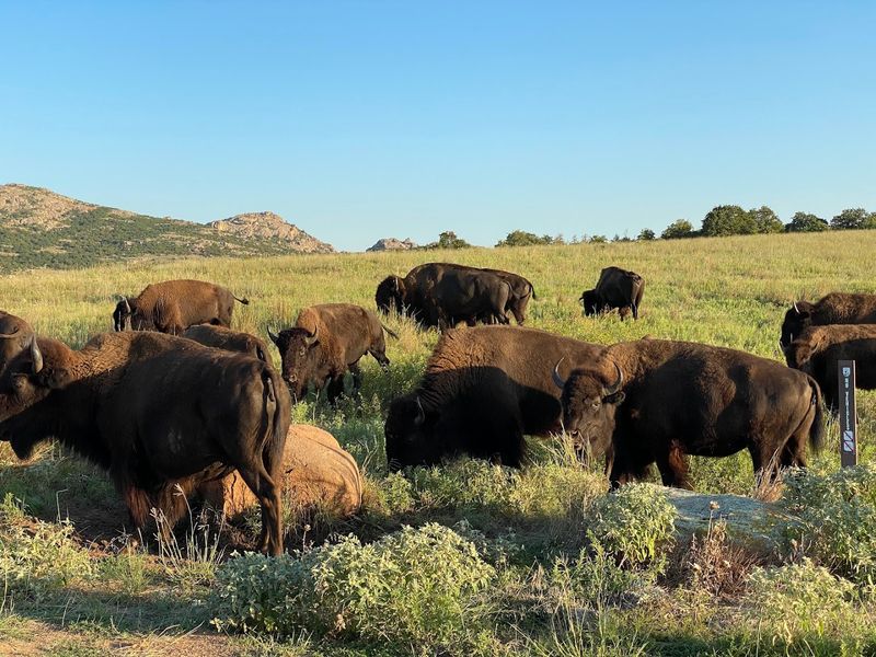Wichita Mountains, Oklahoma Wichita Mountains, Oklahoma