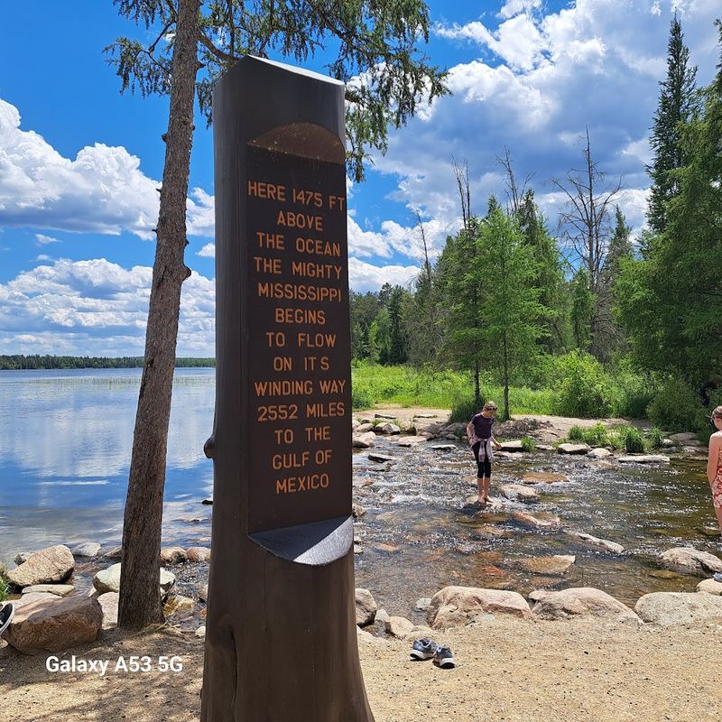 Wildflower Hiking at Itasca State Park, Park Rapids, Minnesota