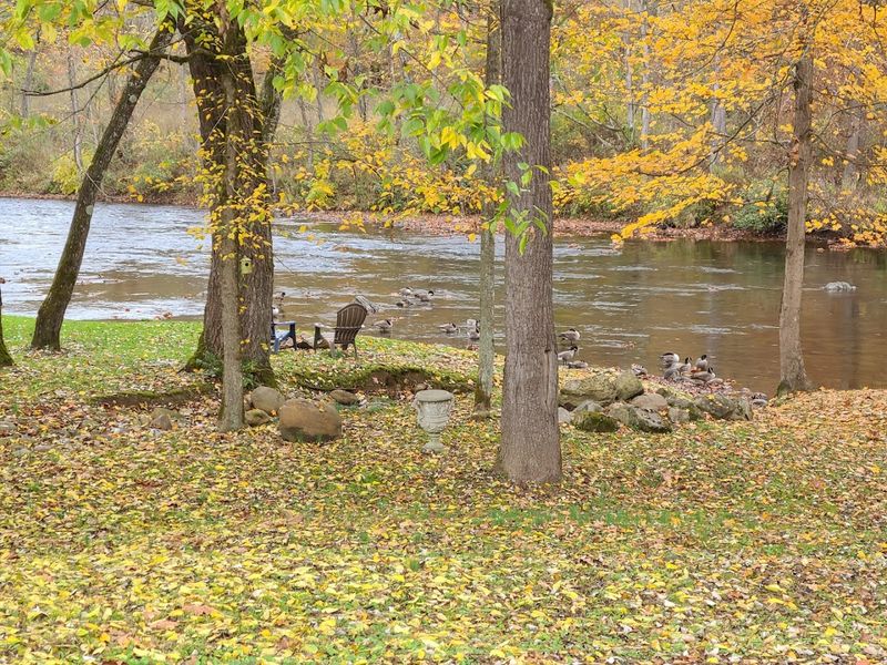 Wildlife Along the Trail: More Than Just Deer and Squirrels