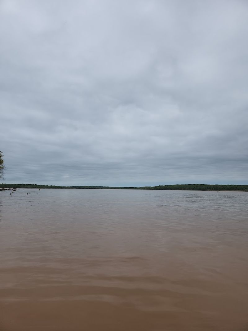 Wildlife Behavior Changes Noticeably Around the Lake