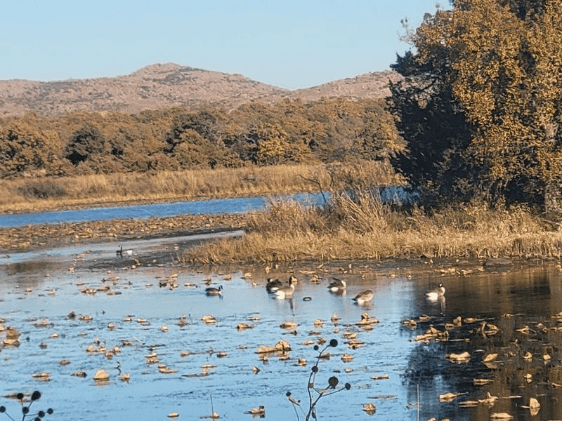 Wildlife Beyond the Deer Makes This Place Richer