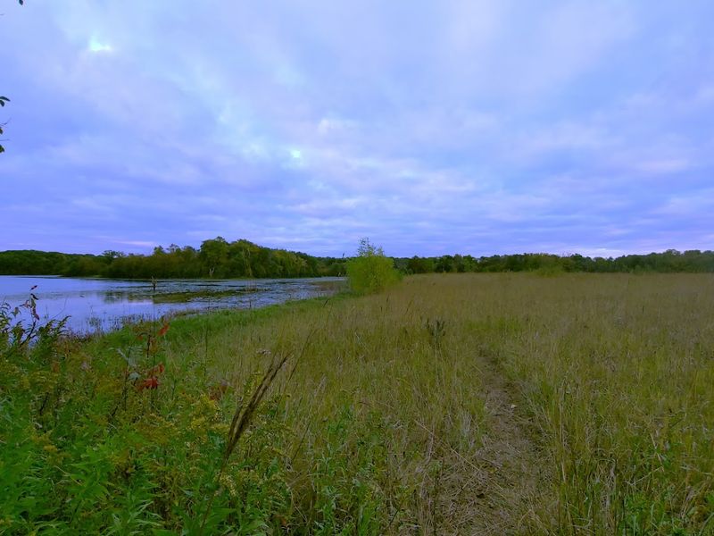 Wildlife Encounters Around Every Bend