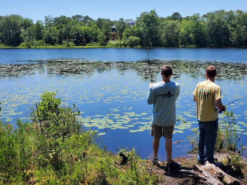 Wildlife Encounters: Frogs, Turtles, Fish, and Birds Galore