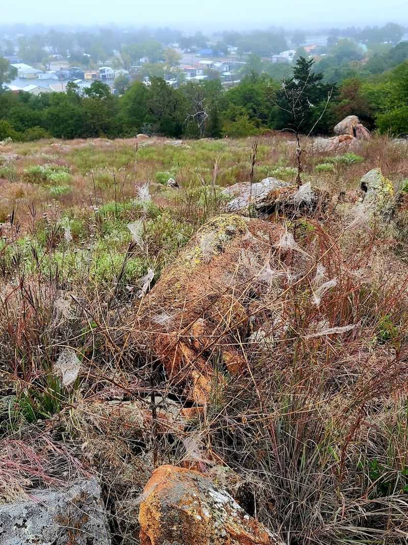 Wildlife Encounters Make the Trail Feel Alive