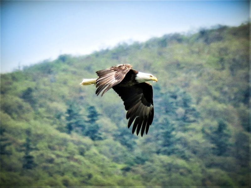 Wildlife Encounters That Will Make Your Jaw Drop Wildlife Encounters That Will Make Your Jaw Drop