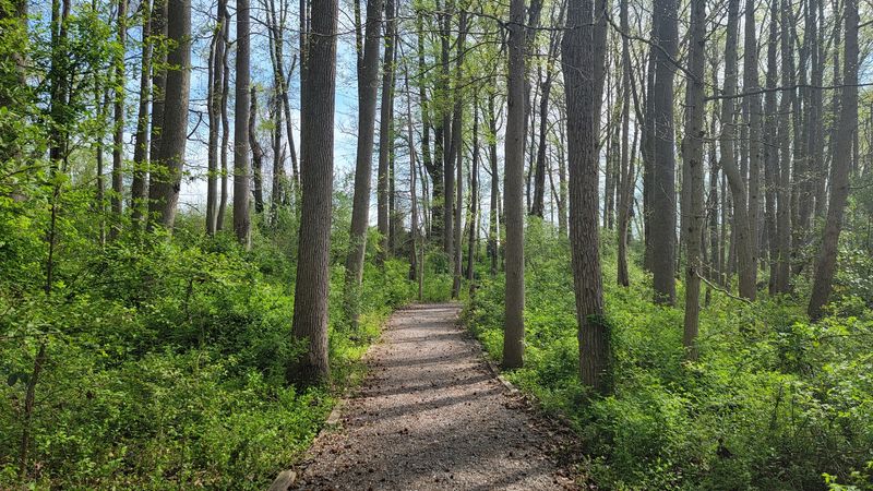 Wildlife Preserves and Outdoor Escapes
