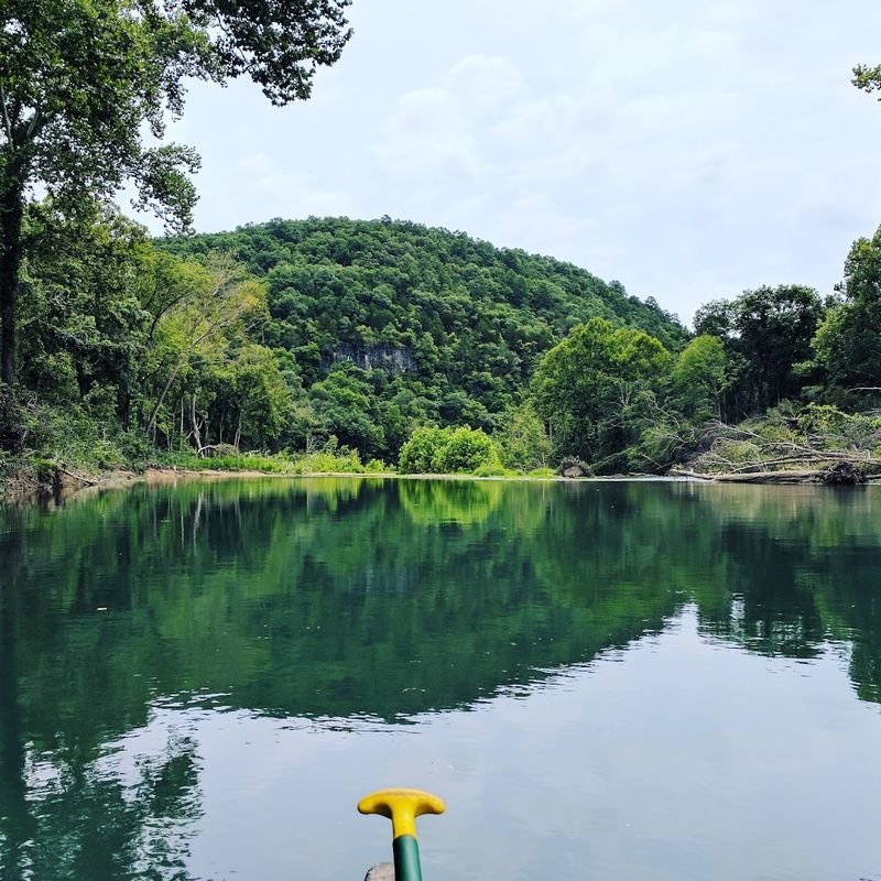 Wildlife Sightings Add Unexpected Magic to Every Float