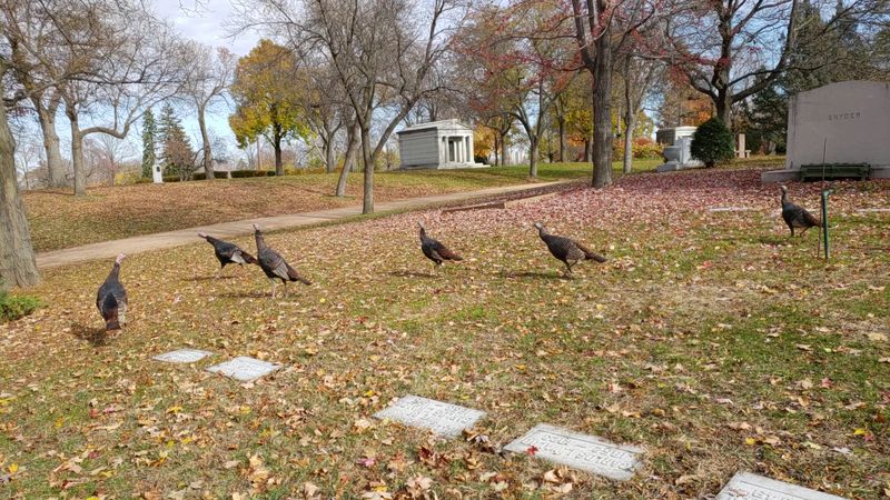 Wildlife Sightings That Catch You Completely Off Guard