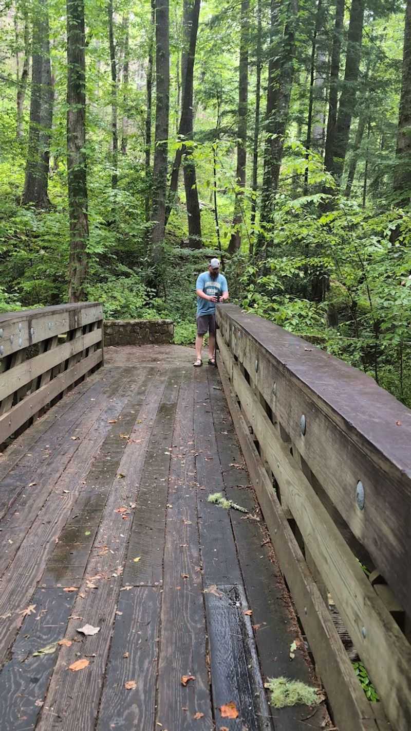 The Hemlock Woolly Adelgid: A Hidden Crisis
