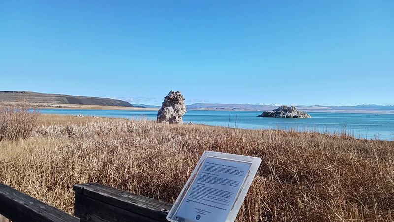 Wildlife That Thrives in an Unlikely Place