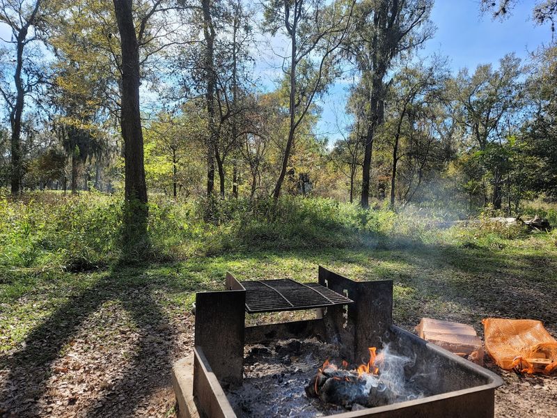 Camping Options That Actually Impress