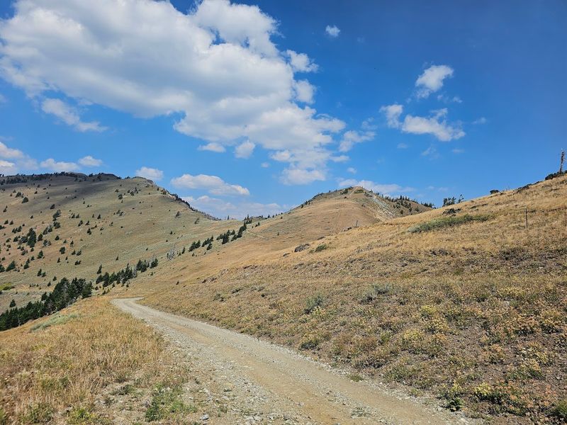 Wildlife, Views, and the Mountain Goats Nobody Warned You About