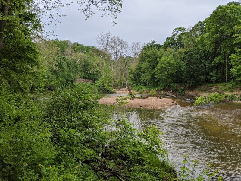 Wildlife Watching and Birdwatching Opportunities