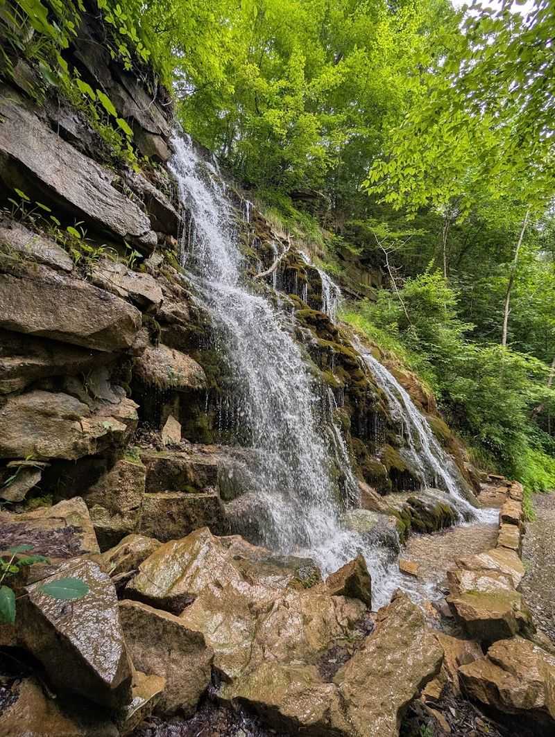 Wildlife, Waterfalls, and the Seasonal Magic of the Gorge