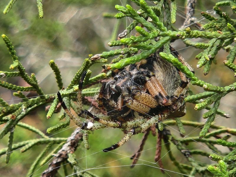 Wildlife You Might Actually Spot Along the Way Wildlife You Might Actually Spot Along the Way