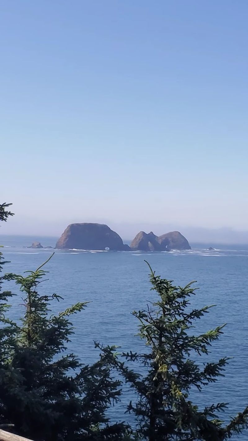 Wildlife and Birdwatching Opportunities